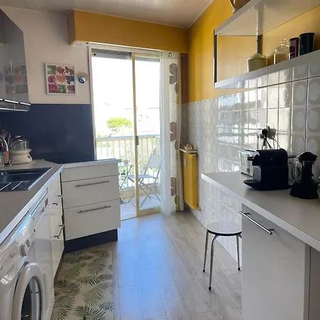 Tatil Evi Renting Spacious 1 Bedroom In Center With A Parking Antibes