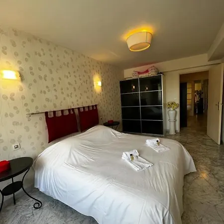Tatil Evi Renting Spacious 1 Bedroom In Center With A Parking Antibes